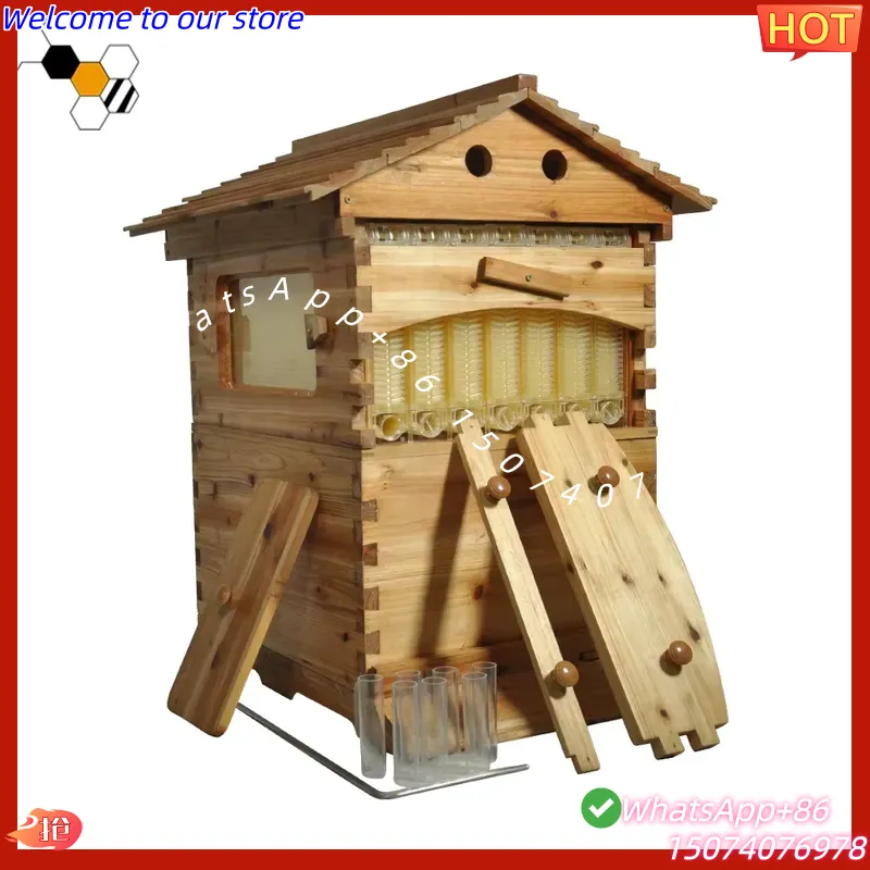 Beehive Frame Wax - 2026 Chinese wasbehandelde Chinese spar automatische