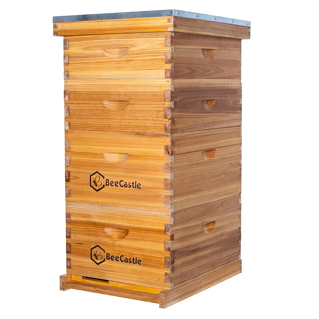 Beehive Frame Wax - 10-raams Langstroth bijenkast, bekleed met 100%