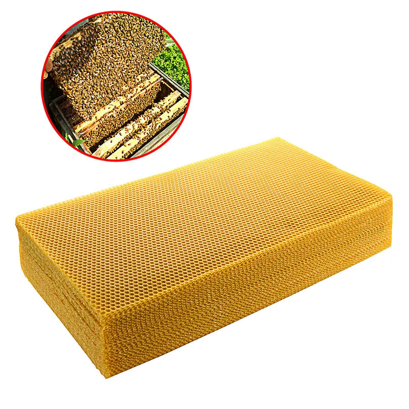 Beehive Frame Wax - 30 stks/pak Bee Kam Foundation Honingraat