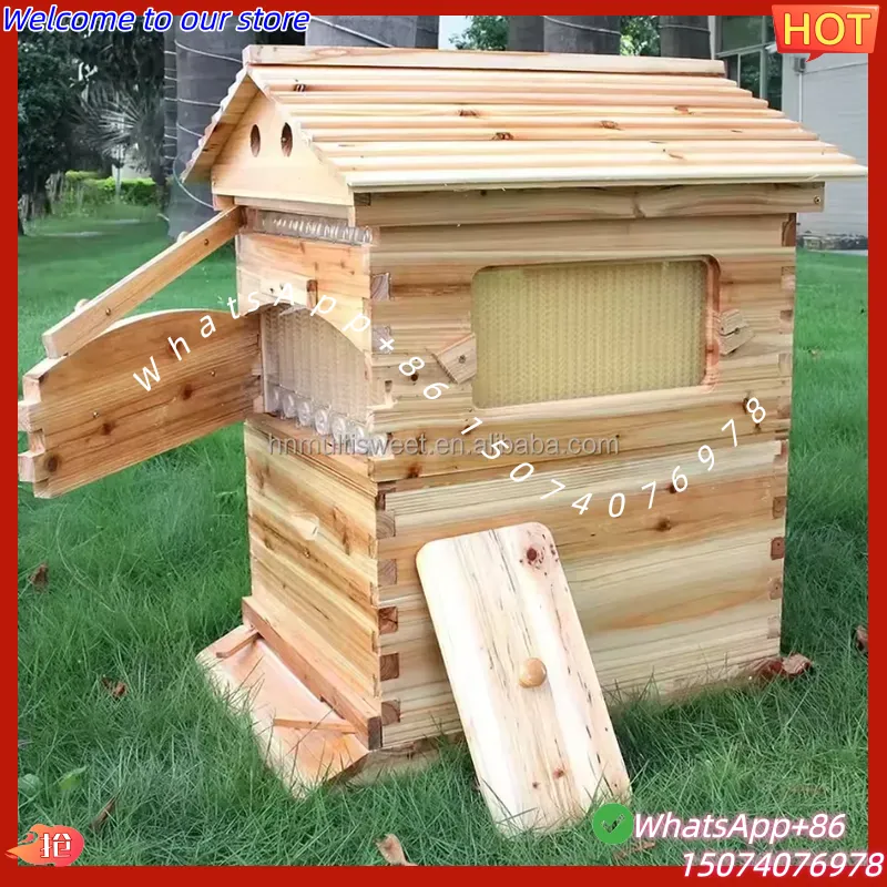 2026 Chinese wasbehandelde Chi - Beehive Frame Wax recensie en prijs