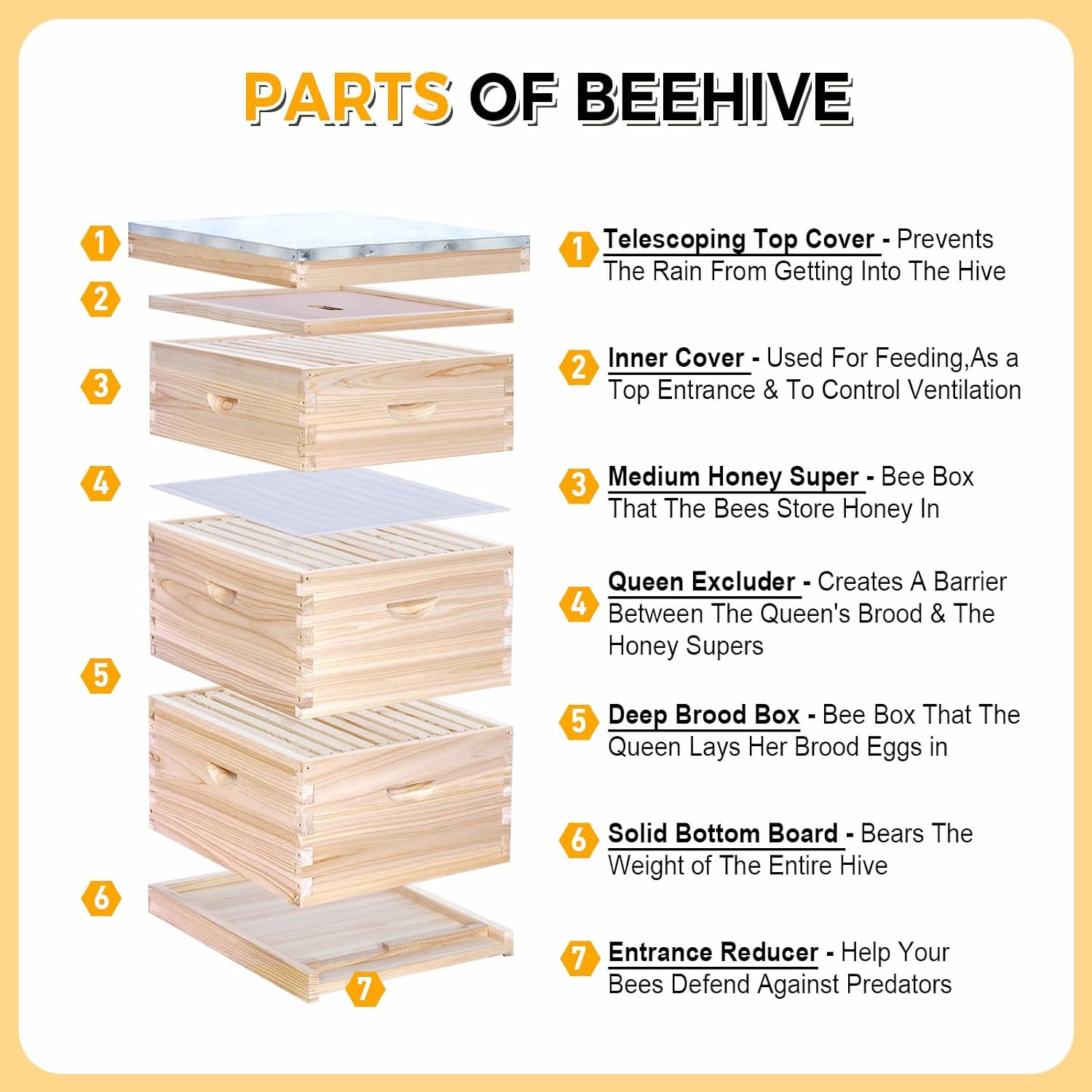10-frame complete bijenkasten  - Beehive Frame Wax recensie en prijs
