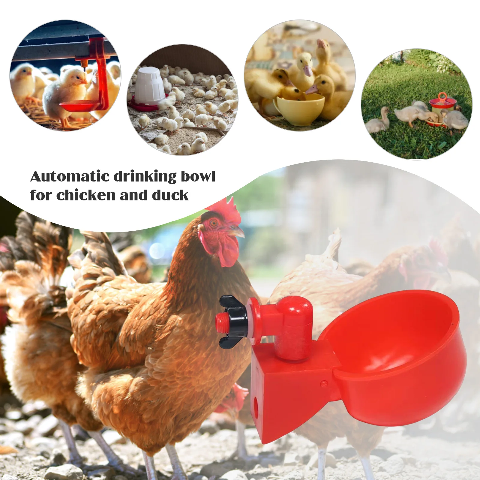 6-36 Stuks Kip Eend Drinkbeker - Chicken Nipple Drinker recensie en prijs