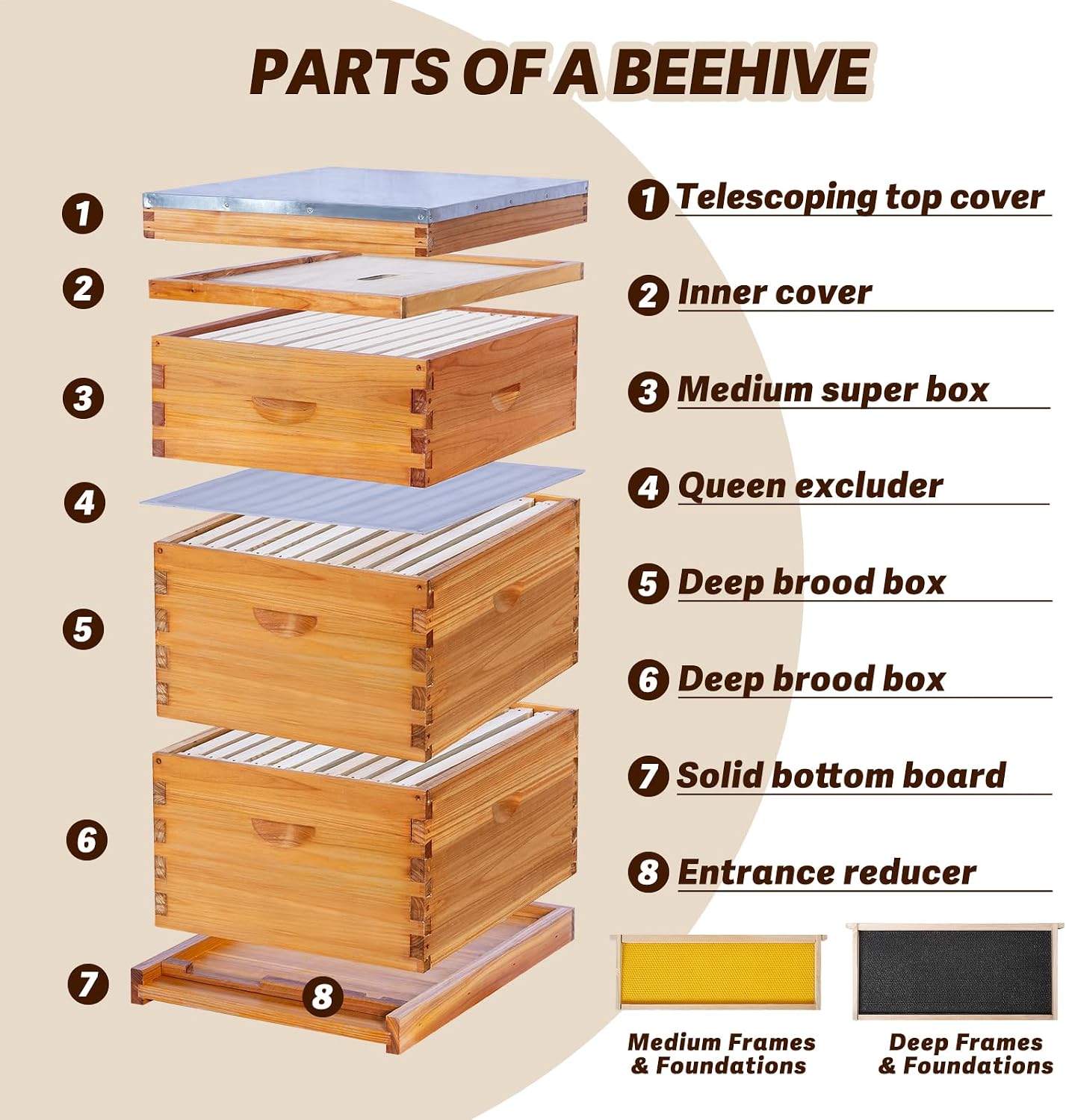 10-frame Langstroth bijenkast  - Beehive Frame Wax recensie en prijs