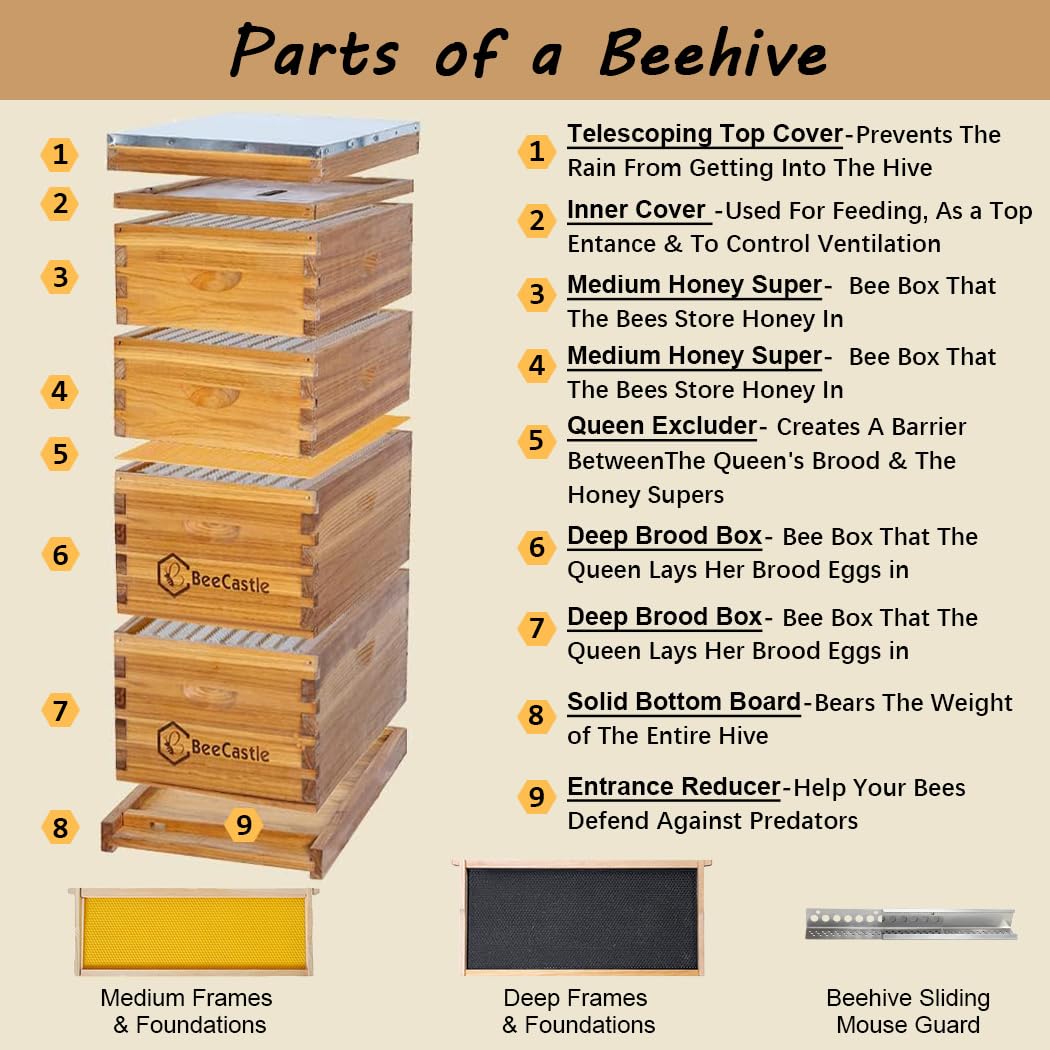 10-raams Langstroth bijenkast, - Beehive Frame Wax recensie en prijs