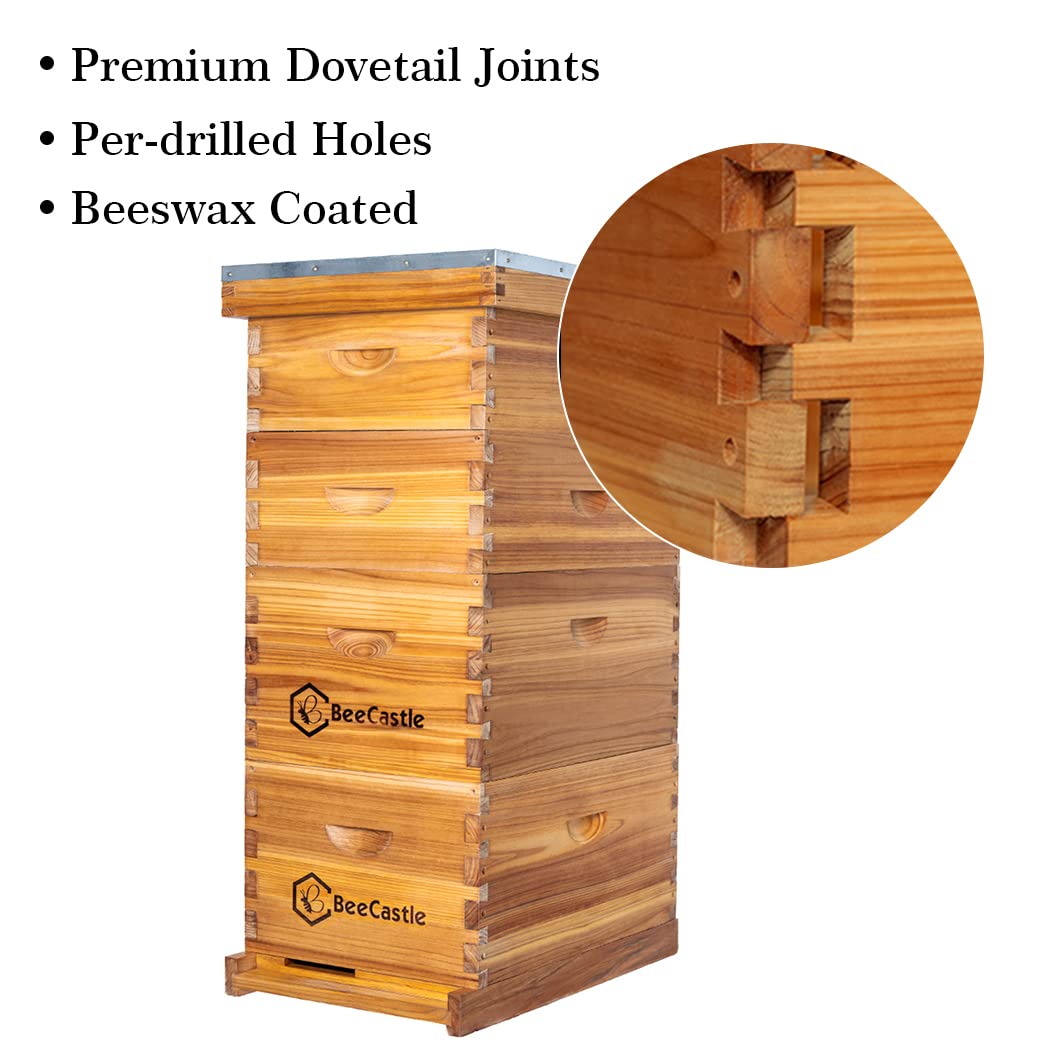 10-raams Langstroth bijenkast, - Beehive Frame Wax recensie en prijs