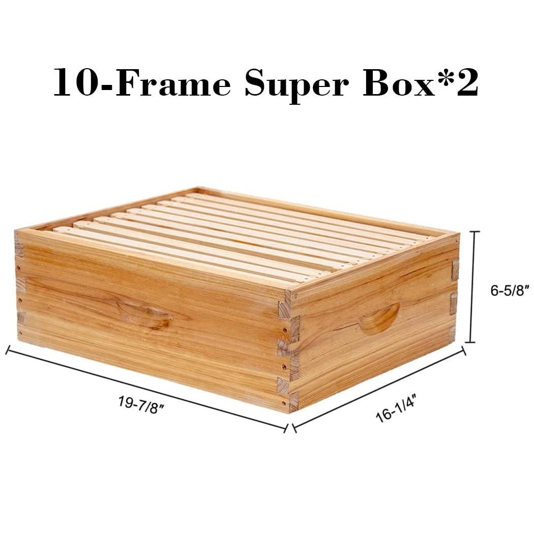 10-raams Langstroth bijenkast, - Beehive Frame Wax recensie en prijs