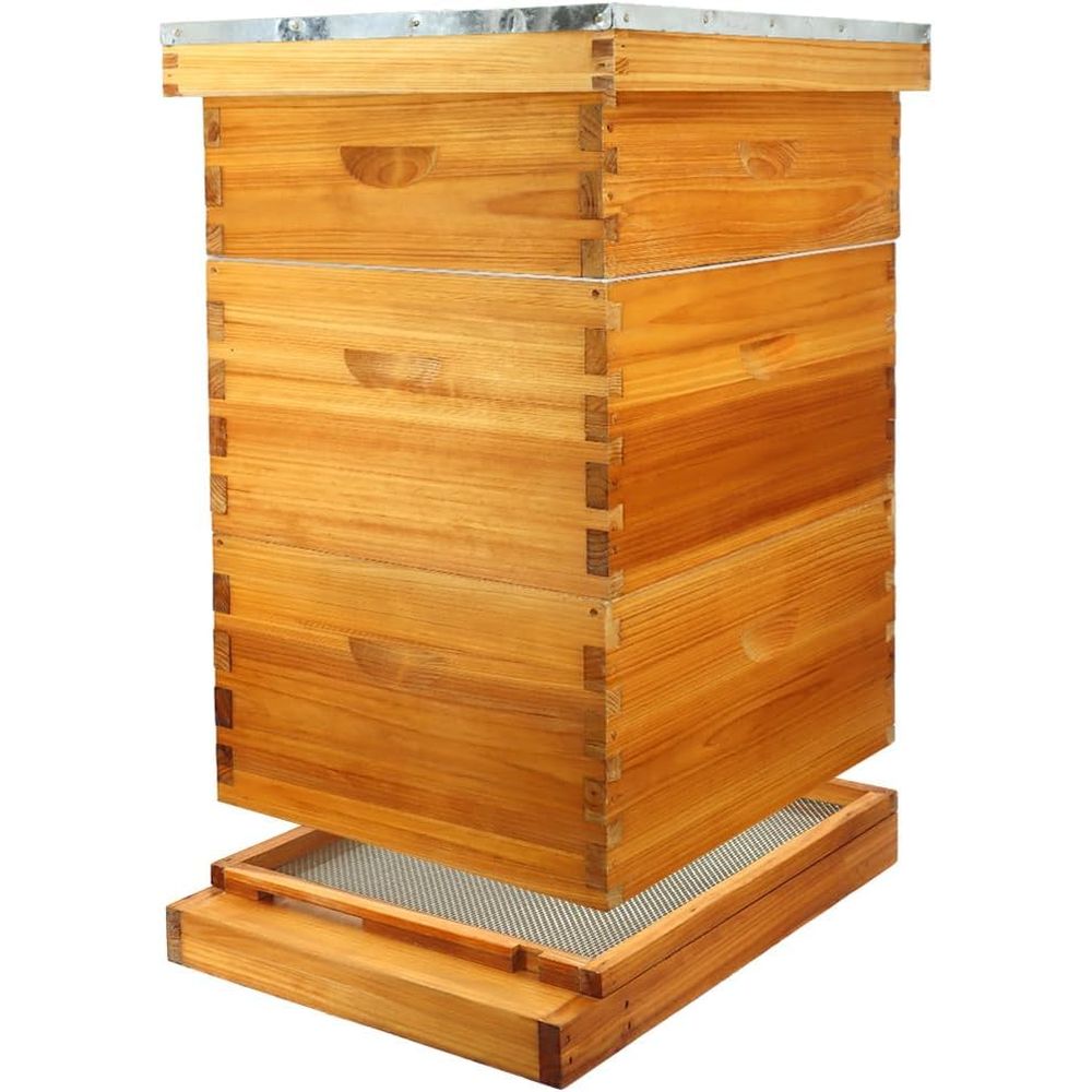 10-raams bijenkastset met gewa - Beehive Frame Wax recensie en prijs