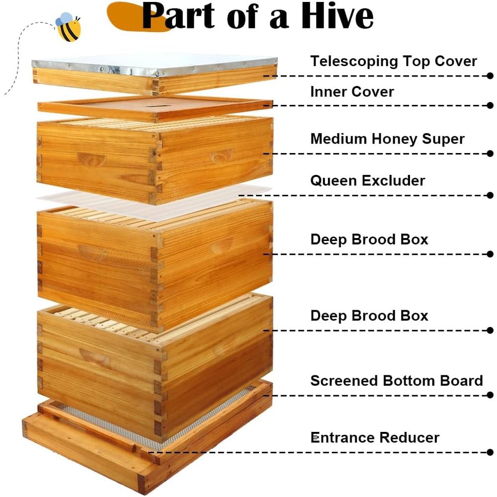 10-raams bijenkastset met gewa - Beehive Frame Wax recensie en prijs