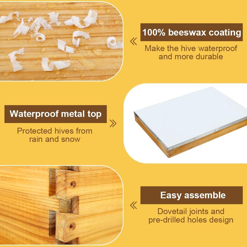 10-raams bijenkastset met gewa - Beehive Frame Wax recensie en prijs