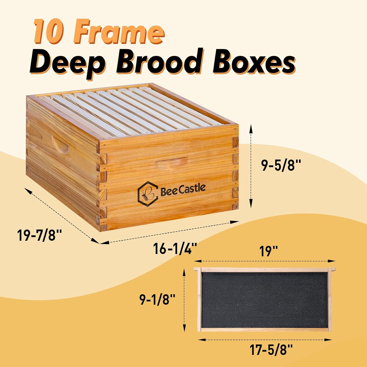 10-baards Langstroth bijenkast - Beehive Frame Wax recensie en prijs