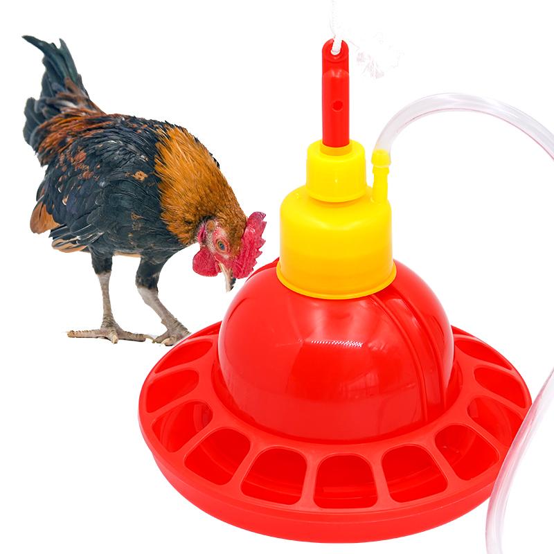 1 Set Kip Eend Gans Vleeskuike - Chicken Nipple Drinker recensie en prijs