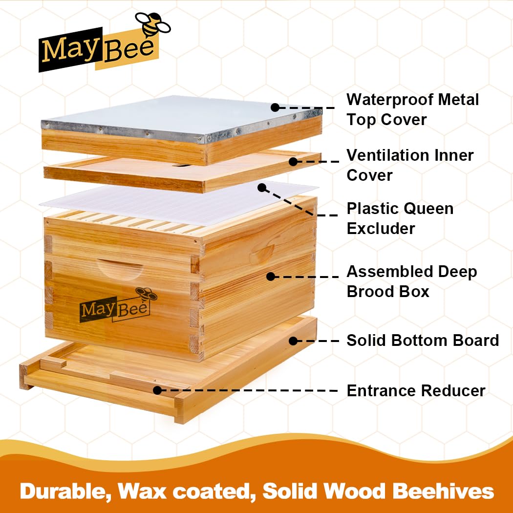 Bijenkorf Starterset 8-frames  - Beehive Frame Wax recensie en prijs