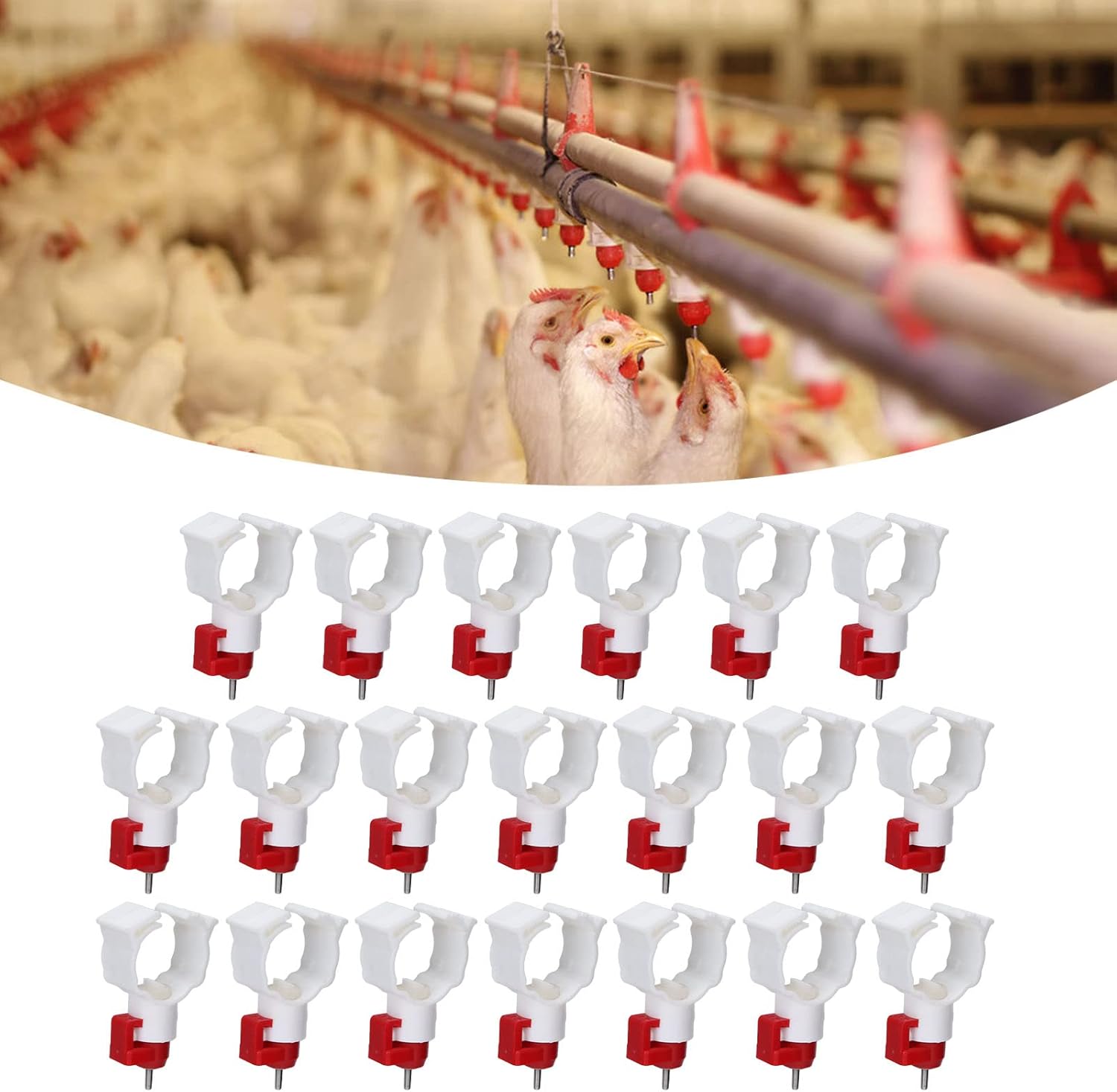 Hoge Kwaliteit 20PCS Kip Tepel - Chicken Nipple Drinker recensie en prijs