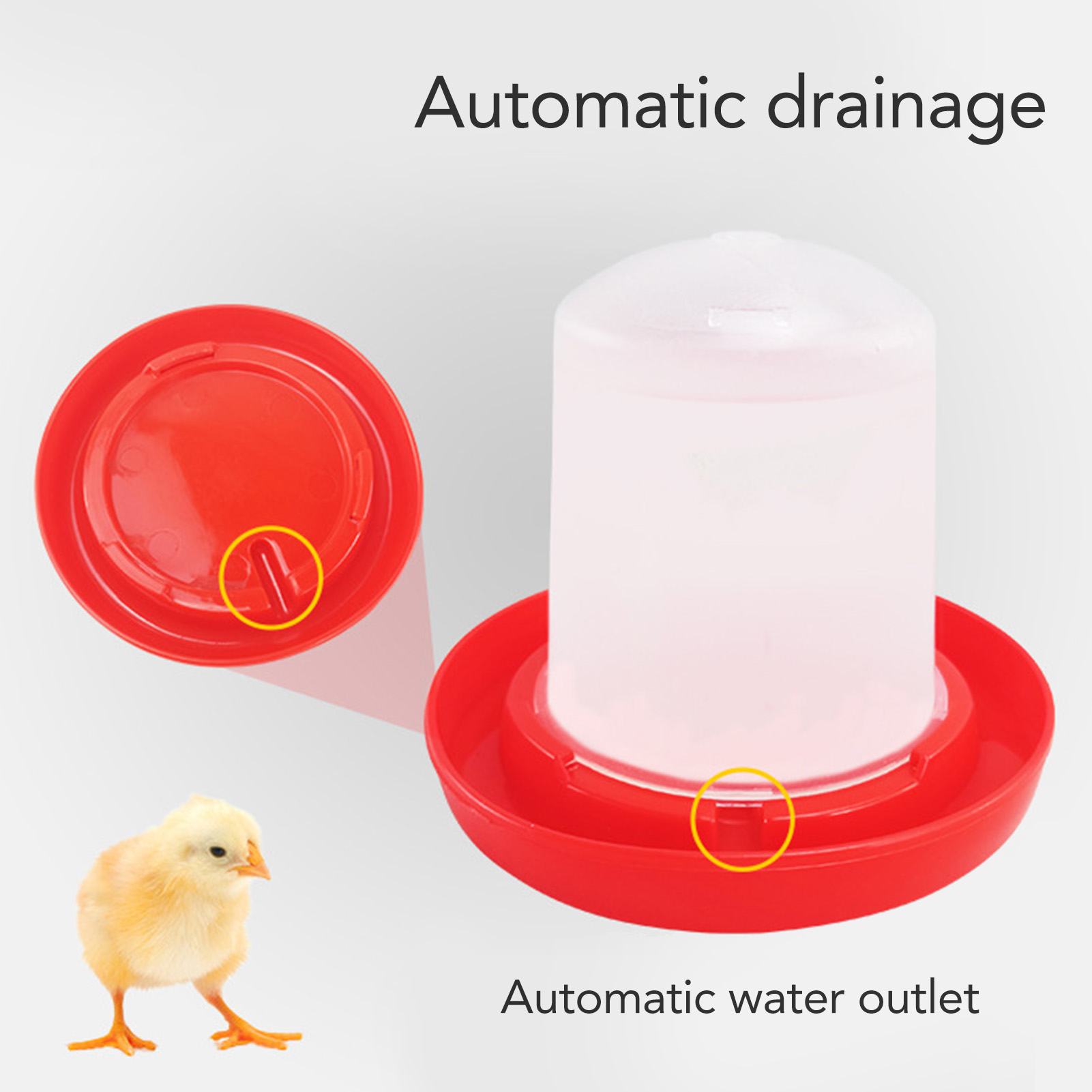 Automatische voer- en drinkbak - Chicken Nipple Drinker recensie en prijs